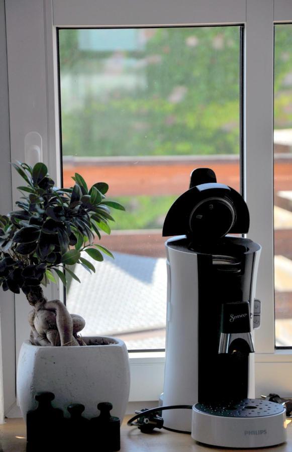 Gemuetliche Dachwohnung Mit Kleiner Oder Grosser Dachterrasse Nebeneinander Wolmirstedt Exterior foto